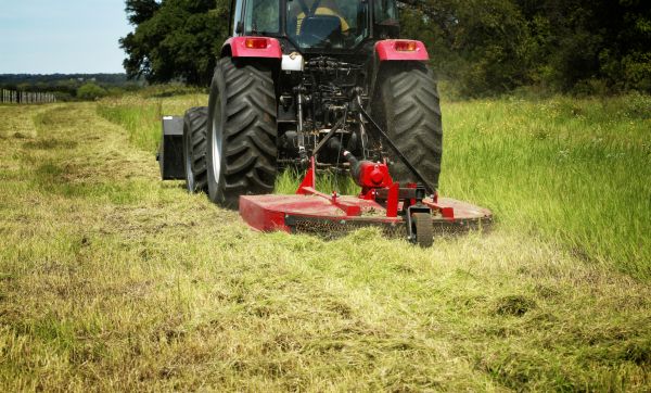 Bush Hog Mowing